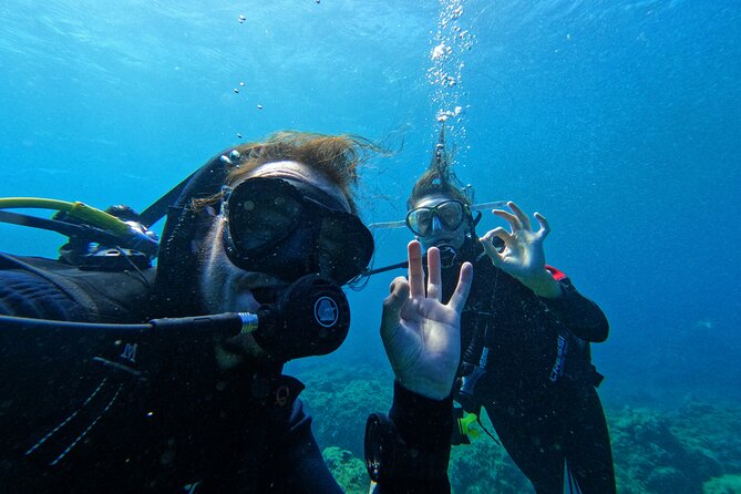 Private Scuba Diving in Tenerife – Certified Instructor & Photos - Price and value: is $114.89 a good deal?
