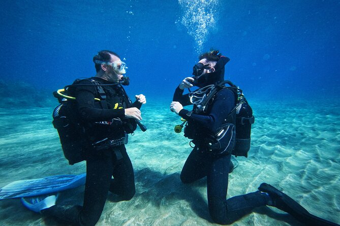 Private Scuba Diving in Tenerife – Certified Instructor & Photos - The underwater experience: what you can realistically expect