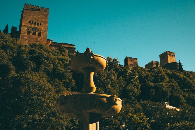 Private Tour to The Alhambra with Nasrid Palaces in Granada - Logistics that matter on the day
