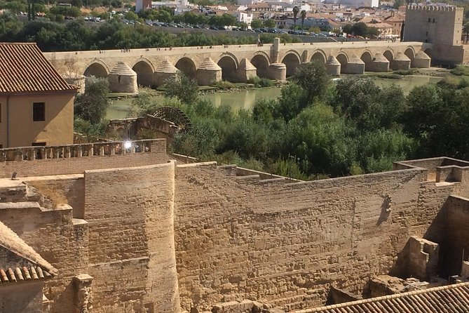 Private Visit Mosque-Cathedral, Jewish quarter, Alcazar and Synagogue - Walking level: flat old town, short segments, easy pacing