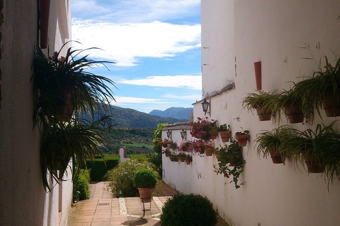 Private White Villages & Ronda Day Tour from Seville - Private Attention Means You Can Slow Down (Without Falling Behind)