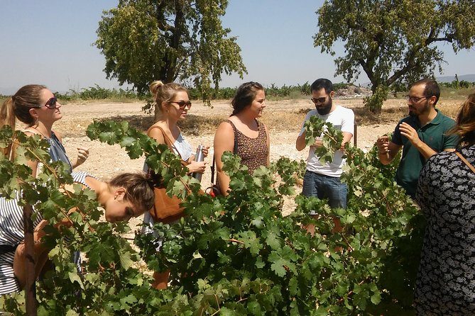 Private Wine Tour with Wine Tasting and Full Lunch (day trip) - Key highlights you will actually feel during the day