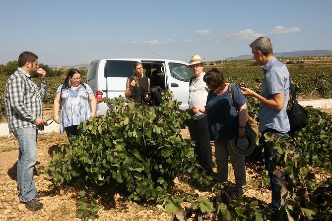 Private Wine Tour with Wine Tasting and Full Lunch (day trip) - Hotel pickup, meeting point, and how the day stays easy