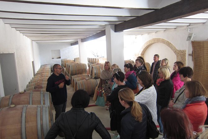 Private Wine Tour with Wine Tasting and Full Lunch (day trip) - Stop 2: Bodega Vera de Estenas, a family-run winery with 19th-century roots