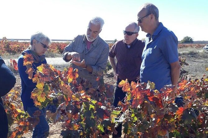 Private Wine Tour with Wine Tasting and Full Lunch (day trip) - What the two tastings teach you about the Utiel-Requena region