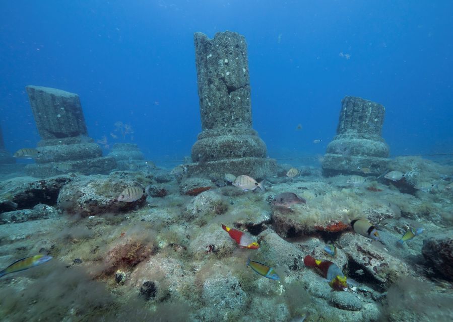 Puerto de Mogán: Submarine Tour - Weather and Operations: When the Ocean Changes the Plan