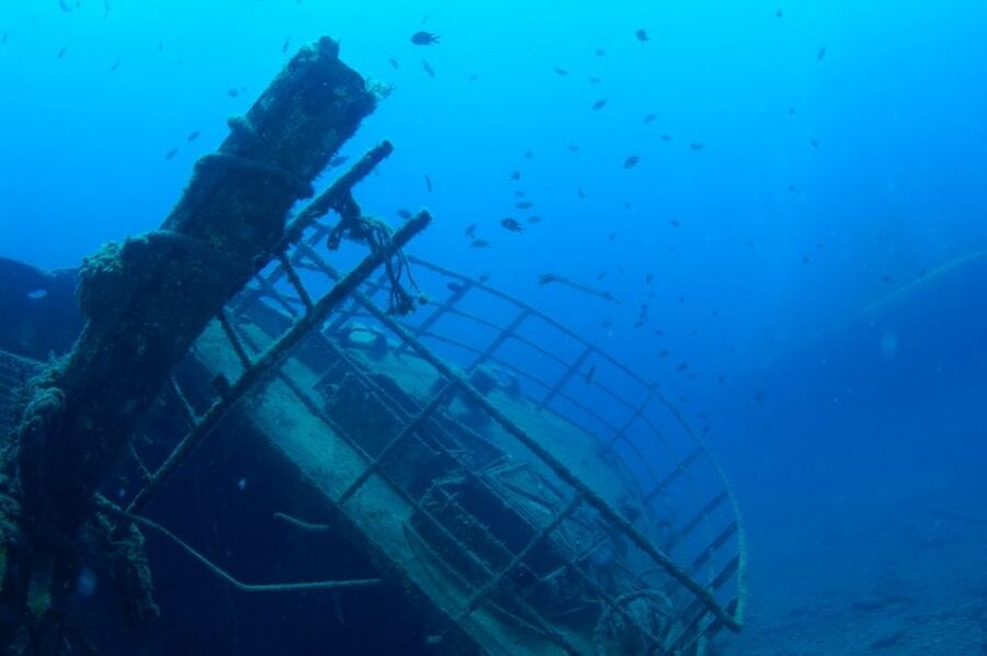 Puerto de Mogán: Submarine Tour - Entering the Golden Shark: What the Ride Feels Like