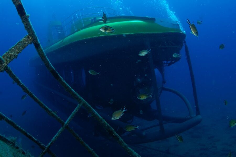 Puerto de Mogán: Submarine Tour - What You’ll Actually See: Shipwrecks, Sea Life, and Seafloor Structures