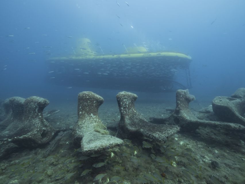 Puerto de Mogán: Submarine Tour - Photos and Souvenirs: Getting Proof You Were There