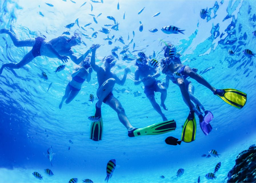 Puerto del Carmen: Dolphin-Watching Speedboat Tour with Swim - The Swim Stop: Clear Water, Ocean Timing, and Current Reality