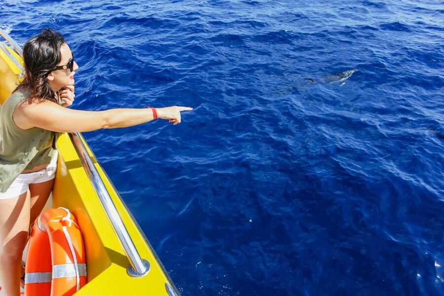 Puerto del Carmen: Dolphin-Watching Speedboat Tour with Swim - Guides and Captains: Why the Humor and Sharing Matters