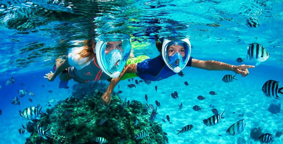 Puerto del Carmen: Dolphin-Watching Speedboat Tour with Swim - Who This Tour Is Best For (and Who Should Consider Alternatives)