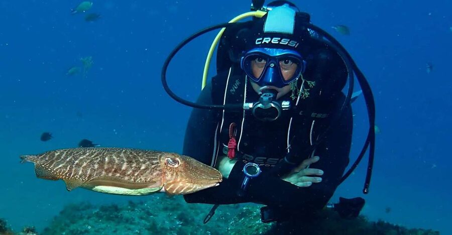 Puerto Del Carmen: Try Scuba Diving with 2 Dives and Photos - Why Puerto del Carmen makes a great first scuba try