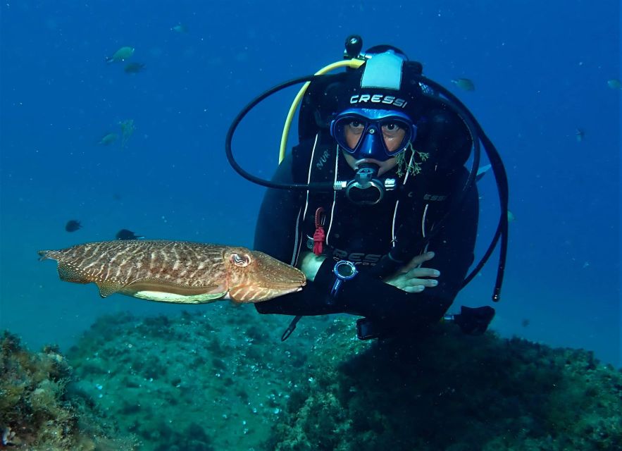 Puerto Del Carmen: Try Scuba Diving with 2 Dives and Photos - What the 4-hour schedule feels like on the ground