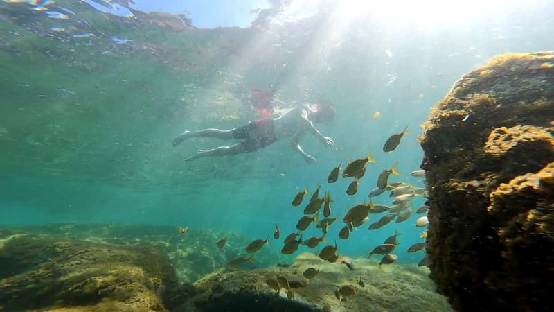 Puerto Mogán: Guided Adventure Kayak Tour in Caves & Snorkel - Key points to know before you go