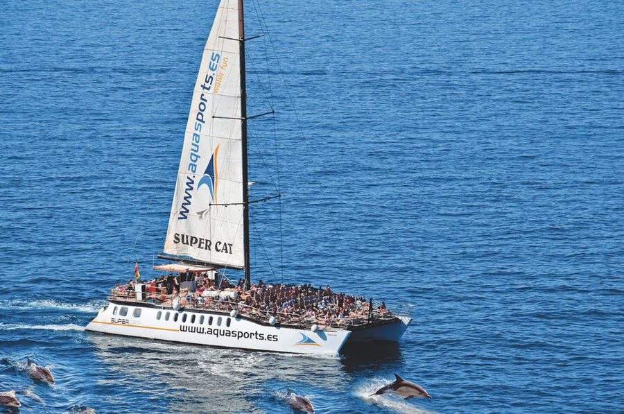 Puerto Rico : 2 hour Dolphin Catamaran Excursion - A free soft drink, plus south-of-island pickup