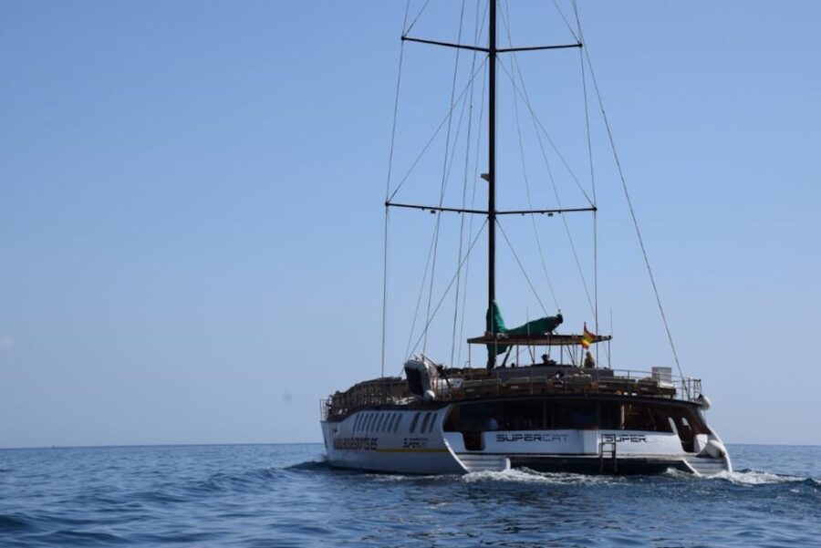 Puerto Rico : 2 hour Dolphin Catamaran Excursion - The one drawback to plan around