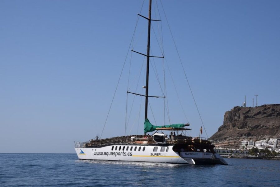Puerto Rico : 2 hour Dolphin Catamaran Excursion - Entering the day: where the catamaran experience starts