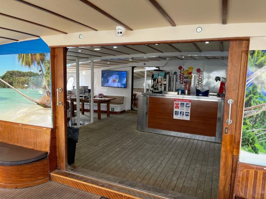 Puerto Rico : 2 hour Dolphin Catamaran Excursion - Pickup in Bahia Feliz to Mogan, and what it does to your schedule