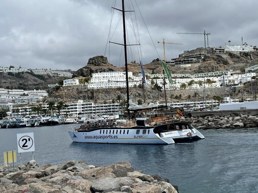 Puerto Rico : 2 hour Dolphin Catamaran Excursion - Boarding the comfortable catamaran: your first real win