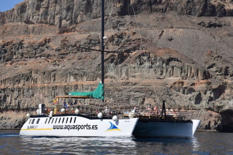 Puerto Rico : 2 hour Dolphin Catamaran Excursion - The two-hour dolphin and whale search: what you should watch for