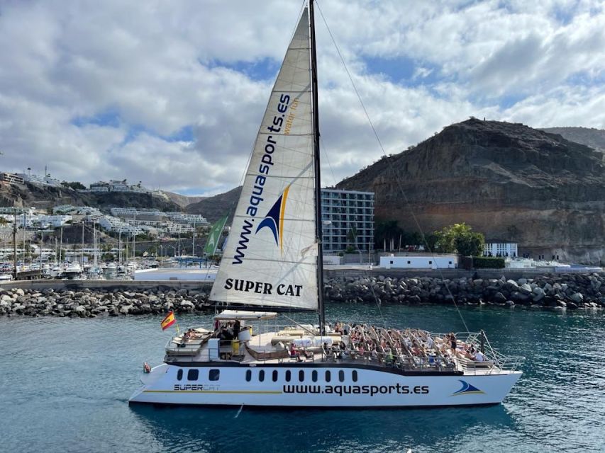 Puerto Rico : 2 hour Dolphin Catamaran Excursion - The sighting guarantee: what it means for your expectations