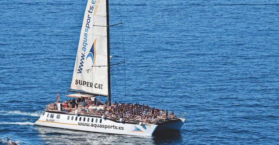 Puerto Rico : 2 hour Dolphin Catamaran Excursion - Key things that matter before you go