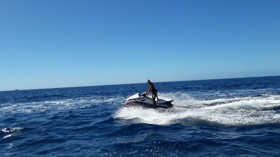 Puerto Rico de Gran Canaria: Jetski Tour - Wildlife sightings, including flying fish and dolphins