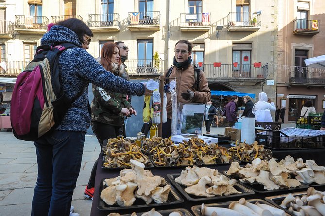 Pyrenees & Medieval Towns Small Group Tour from Barcelona - Price and value: what $143.91 gets you for 11 hours
