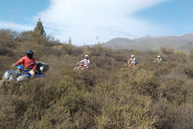 Quad Bike Safari - Volcán El Teide and the Teide Tower stop: photo time with altitude air