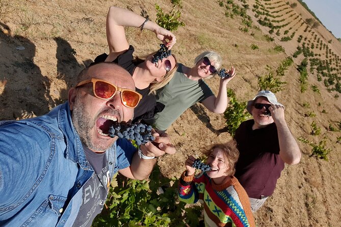 Ribera del Duero:4 Wineries, tasting & Lunch included from Madrid - A One-Day Mission Into Ribera del Duero’s Tinto Fino Country