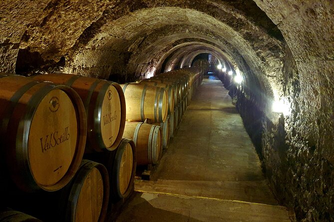 Ribera del Duero:4 Wineries, tasting & Lunch included from Madrid - Stop 1: Tempranillo Heartland, Underground Caves, and Two Approaches to Making Wine