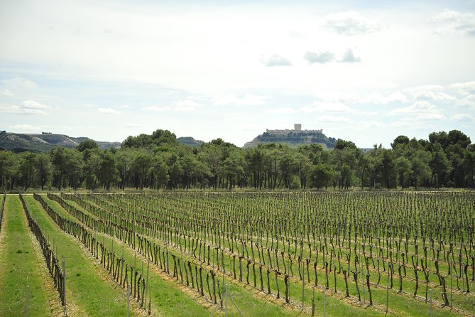 Ribera del Duero Wineries Guided Tour & Wine Tasting from Madrid - Key Things I’d Book This For