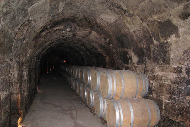Ribera del Duero Wineries Guided Tour & Wine Tasting from Madrid - Ribera del Duero: The “River of Wine” Day Trip That Starts at 9:15