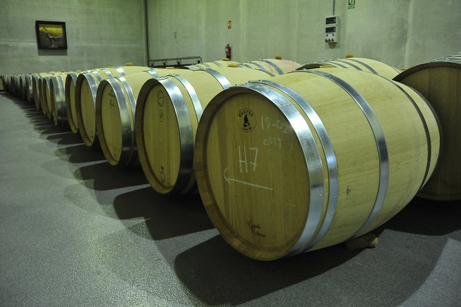 Ribera del Duero Wineries Guided Tour & Wine Tasting from Madrid - The Drive Out of Madrid: How the Day Gets Its Context
