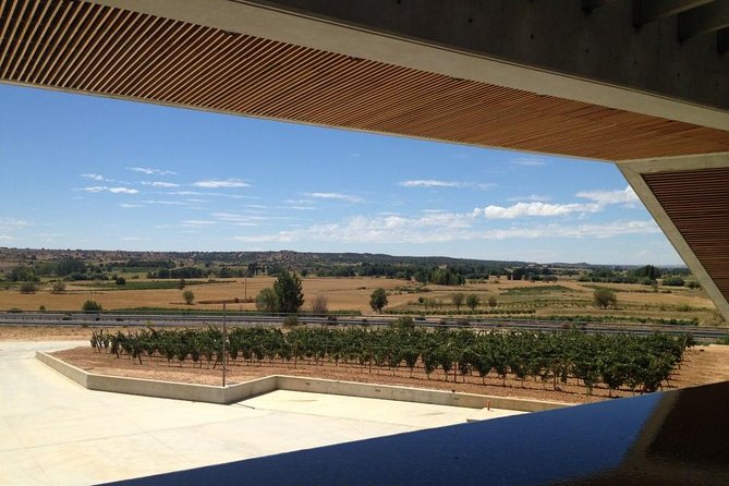 Ribera del Duero Wineries Guided Tour & Wine Tasting from Madrid - Sotillo de la Ribera Winery Stop: Modern Architecture, Vineyard Views