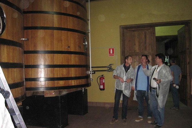 Ribera del Duero Winery Guided Tour and Wine Tasting from Madrid - Morning pickup in central Madrid: Plan for an early start
