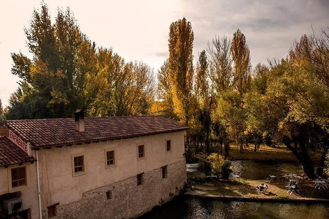 Ribera del Duero Winery Guided Tour and Wine Tasting from Madrid - Stop 2: Second bodega, second style, new story