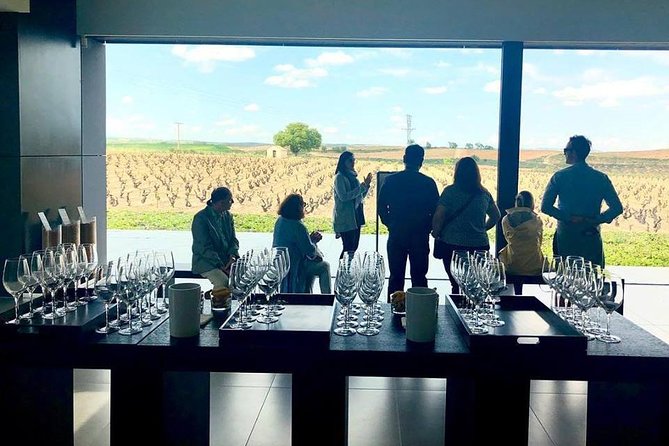 Ribera del Duero Winery Guided Tour and Wine Tasting from Madrid - Transport and group size: Why max 8 matters