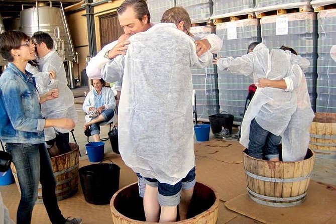 Ribera del Duero Winery Guided Tour and Wine Tasting from Madrid - Price and value: What $191.87 is really paying for