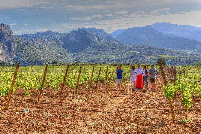 Rioja Like A Native Wine Tour - Key things to know before you go