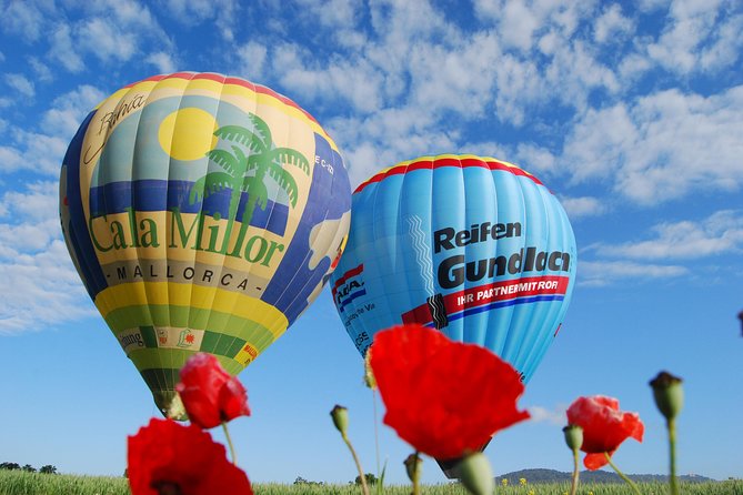 Romantic Sunrise Balloon Tour in Majorca - Price and value: is $229.77 worth it?