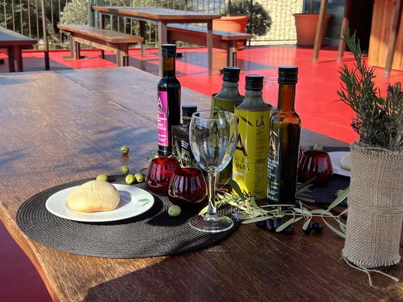 Ronda: LA Almazara LA Organic, Olive Oil Museum and Tasting - Key highlights to look for