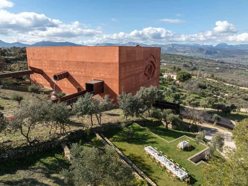 Ronda: LA Almazara LA Organic, Olive Oil Museum and Tasting - The tasting lesson: how to find the full bouquet and compare mild vs intense