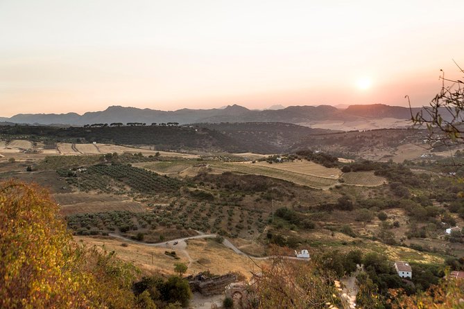 Ronda Village Guided Tour from Costa del Sol - Free Time in Ronda: Use It for Walking, Views, and a Real Lunch