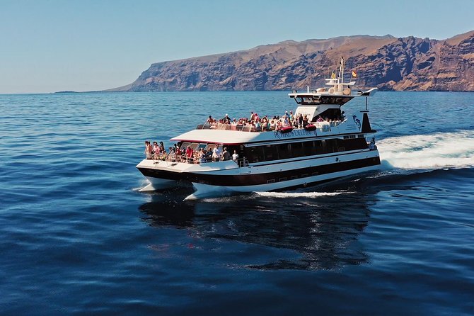 Royal Delfin - 4'5H Dolphin & Whale Watching - Los Gigantes Masca - Lunch & Swim - A catamaran made for seeing cetaceans, not just hoping