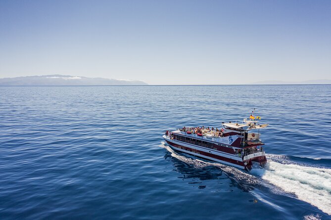 Royal Delfin - 4'5H Dolphin & Whale Watching - Los Gigantes Masca - Lunch & Swim - Tenerife’s southwest route: from Playa de las Américas toward Los Gigantes