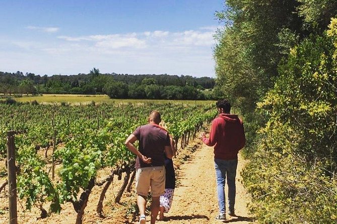 Sa Clasta Mallorca Wine Tours - Two wineries, but not the same old script