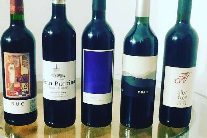 Sa Clasta Mallorca Wine Tours - Timing, meeting points, and mobile tickets without headaches