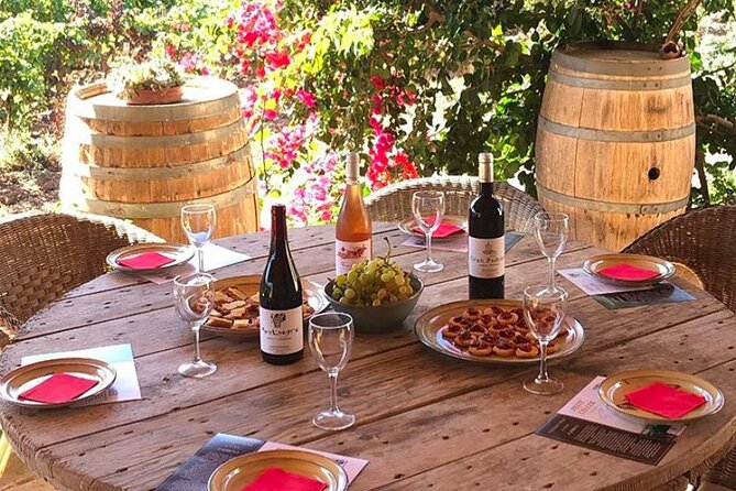 Sa Clasta Mallorca Wine Tours - Who this Mallorca wine tour is best for
